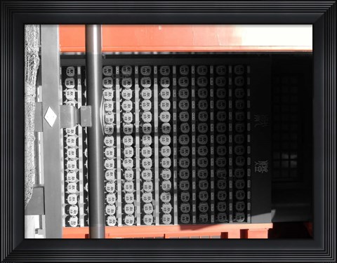 Framed Rice Storage Print
