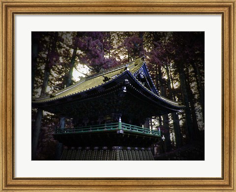 Framed Nikko Architectural Detail Print
