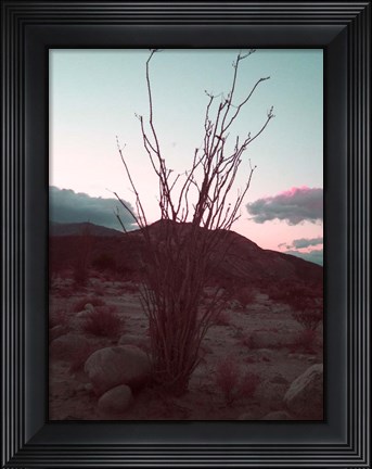 Framed Desert Plants And Sunset Print