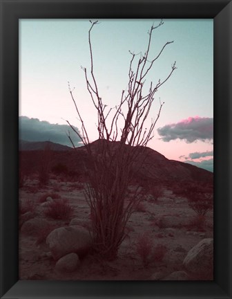 Framed Desert Plants And Sunset Print