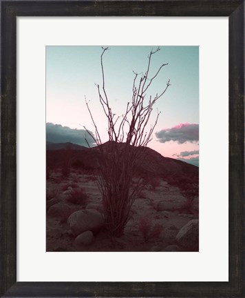 Framed Desert Plants And Sunset Print