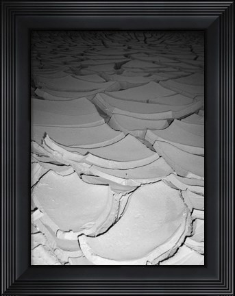 Framed Desert Lake Print