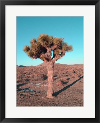 Framed Joshua Tree Print