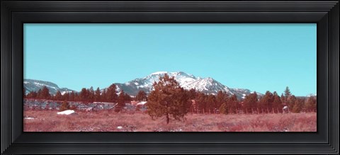 Framed Mammoth Mountain Print