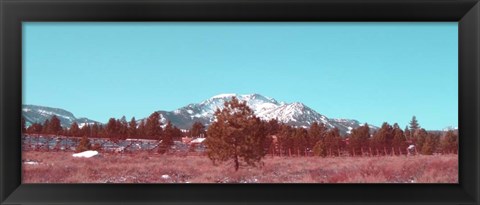 Framed Mammoth Mountain Print