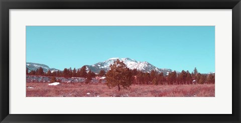 Framed Mammoth Mountain Print