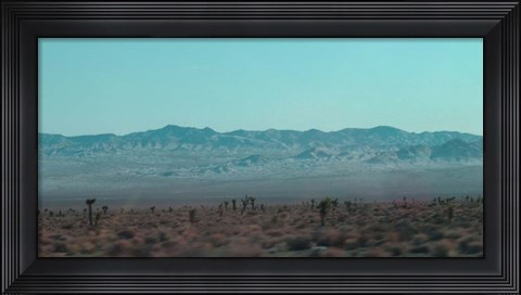 Framed Joshua Trees Print