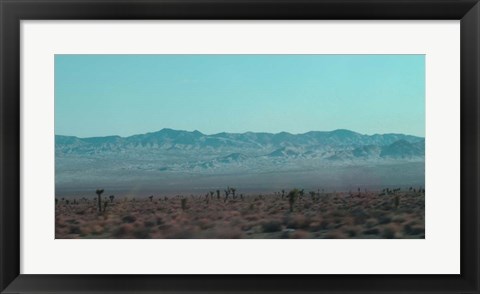 Framed Joshua Trees Print