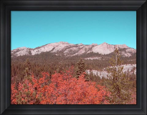 Framed Sierra Nevada Mountains Print