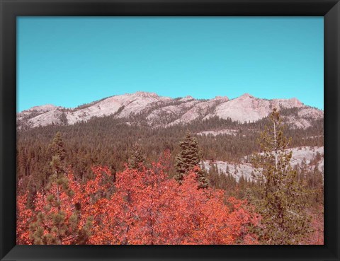 Framed Sierra Nevada Mountains Print