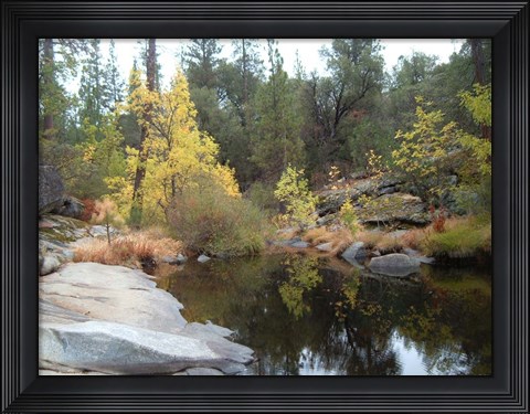 Framed Lake In The Forest Print