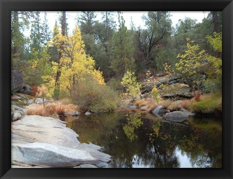 Framed Lake In The Forest Print