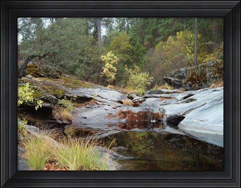 Framed Lake In The Forest 1 Print