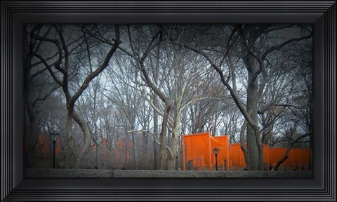 Framed Central Park Print