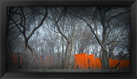 Framed Central Park Print