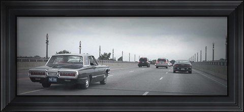 Framed T Bird Print