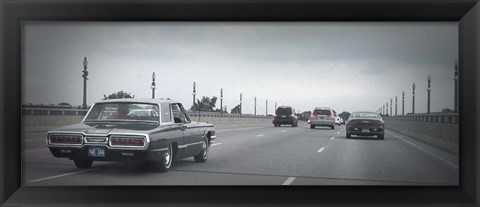 Framed T Bird Print