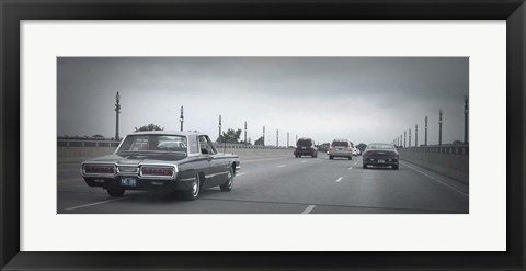 Framed T Bird Print