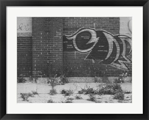 Framed Graffiti On The Wall Print