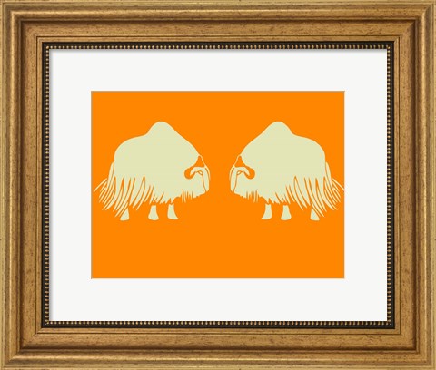 Framed Two White Oxes Print