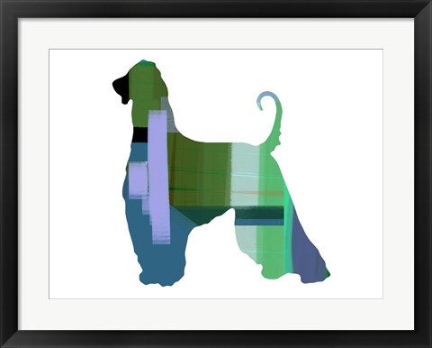 Framed Afghan Hound 1 Print