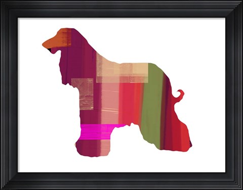 Framed Afghan Hound 2 Print