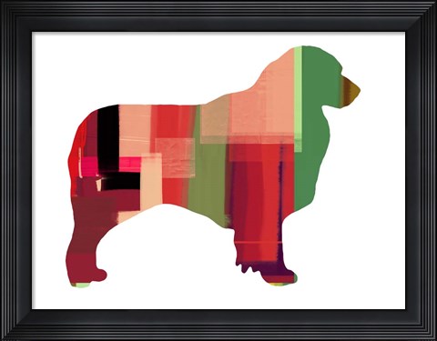 Framed Australian Sheppard Print