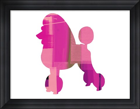 Framed French Poodle Print