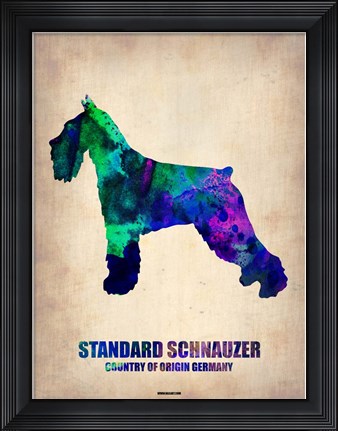 Framed Standard Schnauzer Print