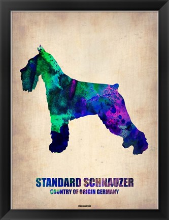 Framed Standard Schnauzer Print