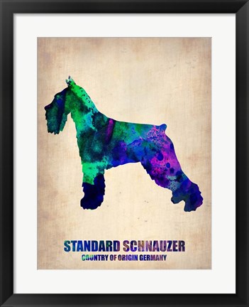 Framed Standard Schnauzer Print