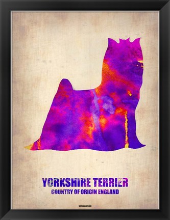 Framed Yorkshire Terrier Print