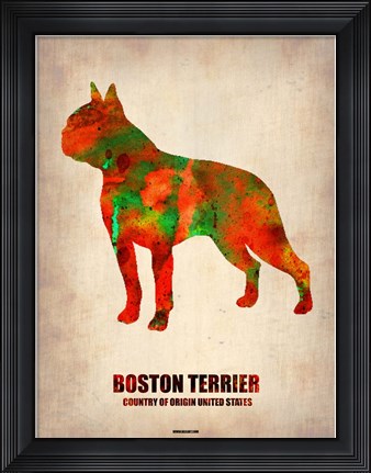 Framed Boston Terrier Print