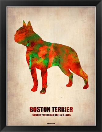 Framed Boston Terrier Print