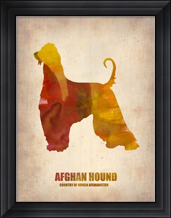 Framed Afghan Hound Print