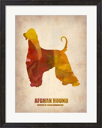 Framed Afghan Hound Print