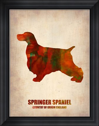 Framed Springer Spaniel 2 Print