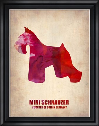 Framed Miniature Schnauzer 1 Print