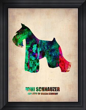 Framed Miniature Schnauzer 2 Print