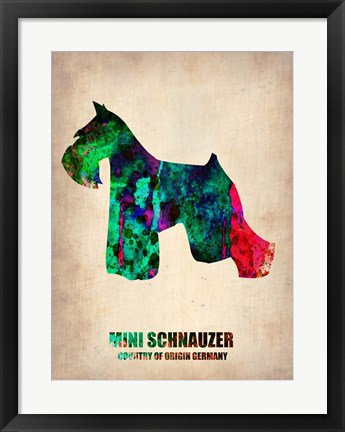 Framed Miniature Schnauzer 2 Print