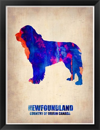 Framed Newfoundland 2 Print