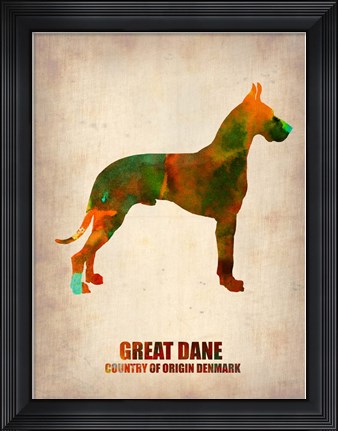 Framed Great Dane Print