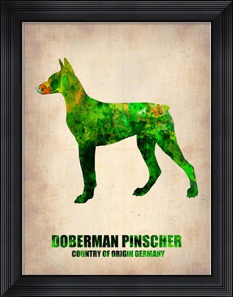 Framed Doberman Pinscher 2 Print