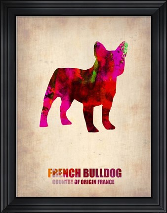 Framed French Bulldog Print