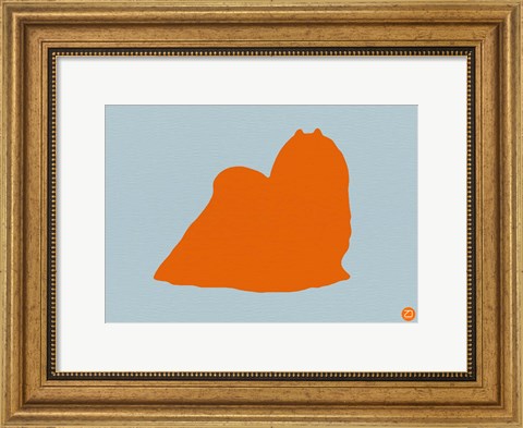 Framed Maltese Orange Print
