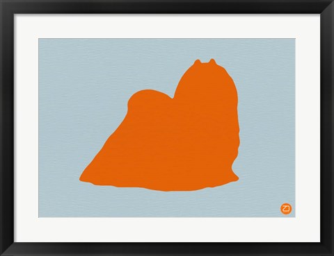 Framed Maltese Orange Print