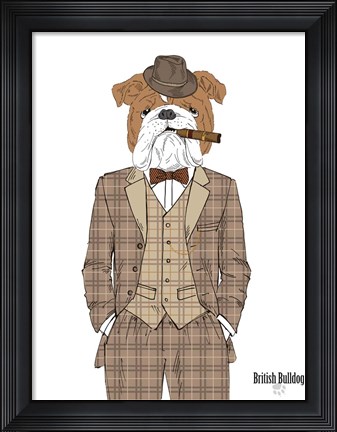 Framed British Bulldog In Tweed Suit Print