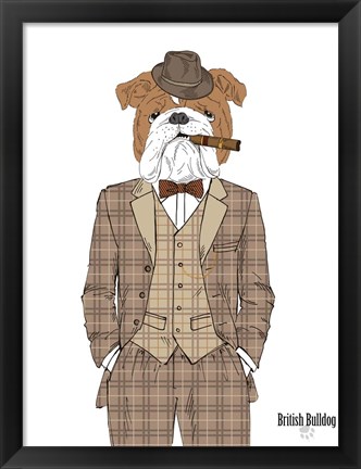 Framed British Bulldog In Tweed Suit Print