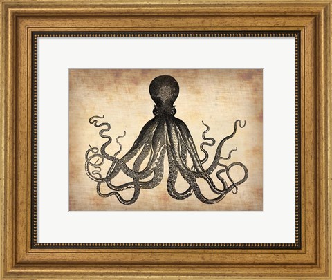 Framed Vintage Octopus Print