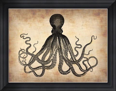 Framed Vintage Octopus Print